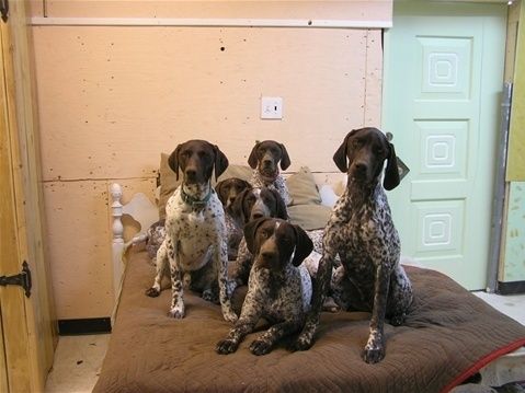 Bacardi, Stoli, Rocco, Hazel, Wrigley & Spirit!!!
All are the loves of my life!